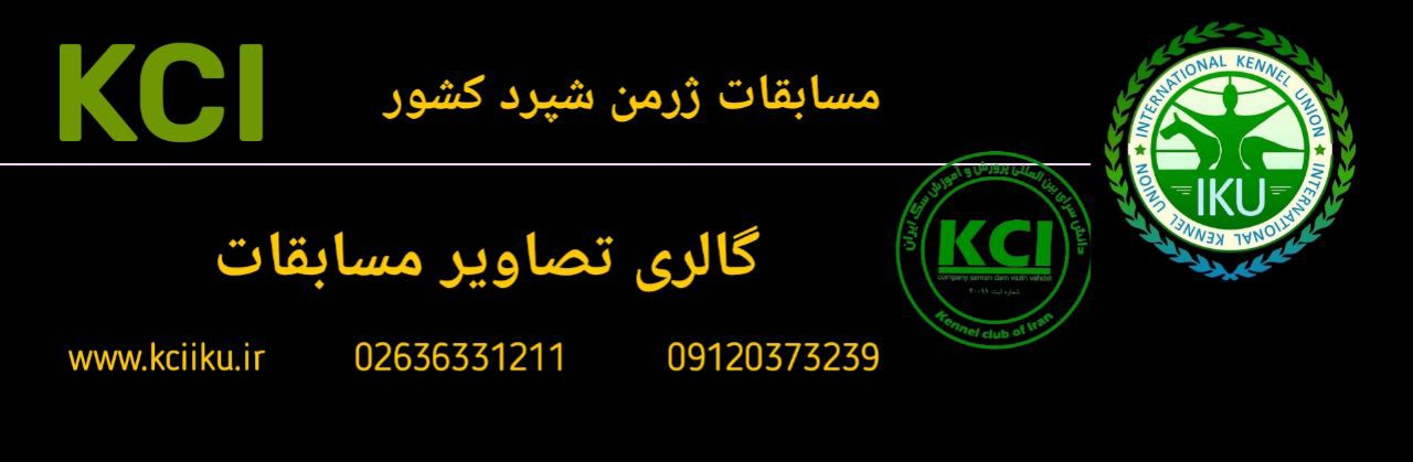 تصاویر مسابقات سگ زرمن شپرد 